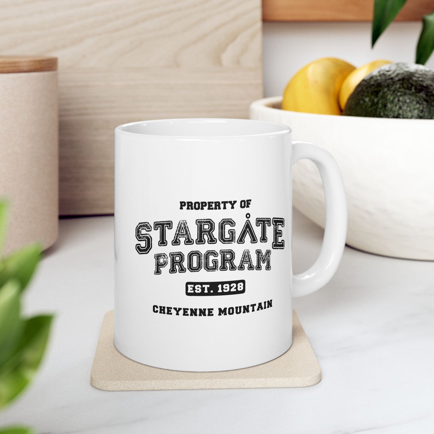 Stargate Program Mug